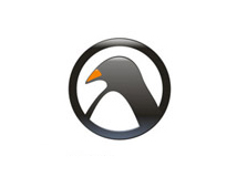 Logo design for Penguin Car Rental company